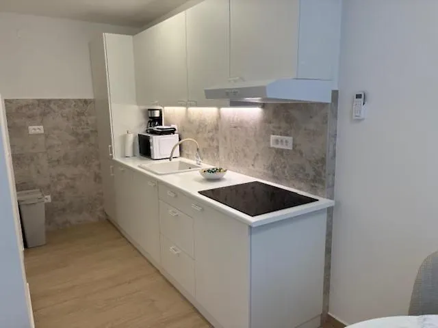 公寓 Tatjana Center 普拉